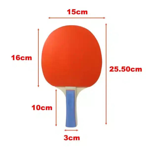 SET PARA PING PONG WINSTAR (2 PALETAS + 3 PELOTAS + RED + ESTUCHE) - Imagen 3