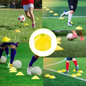 PLATOS PLATILLOS TORTUGA PARA ENTRENAMIENTO – PACK X 12 UNIDADES - Imagen 10