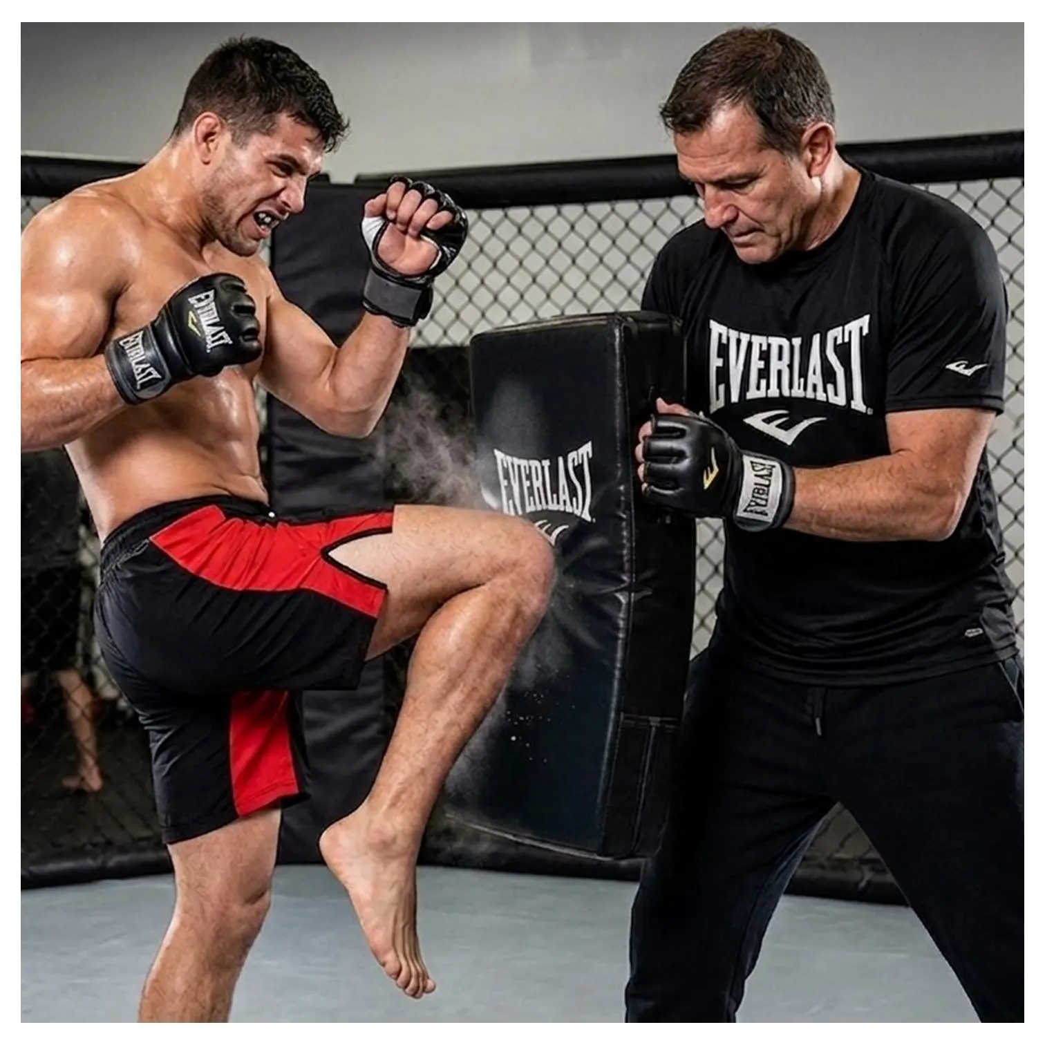 ESCUDO ARTES MARCIALES BOXEO | MUAY THAI KARATE KICKBOXING TAEKWONDO - Imagen 3